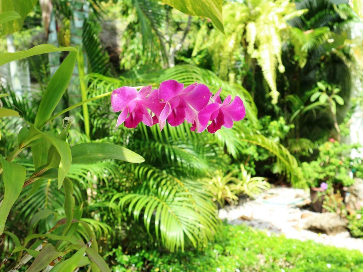 Baan Sabaaidee - Adult Friendly Hotel HHQ Buitenkant foto